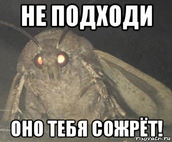 Подходит мем. Оно тебя сожрет. Оно тебя сожрёт Мем. Не лезь оно тебя сожрет. Она тебя сожрет.