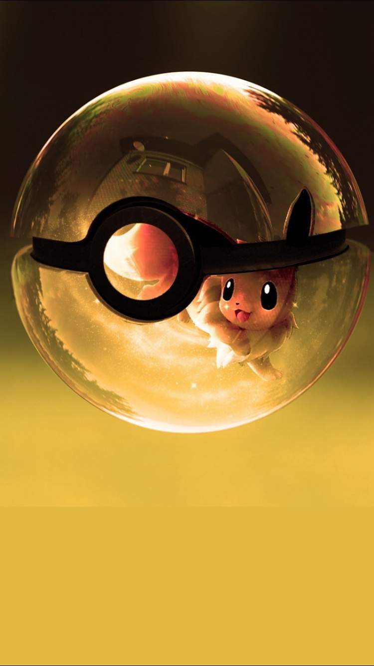 Eevee Ball | Wiki | Pokémon Amino