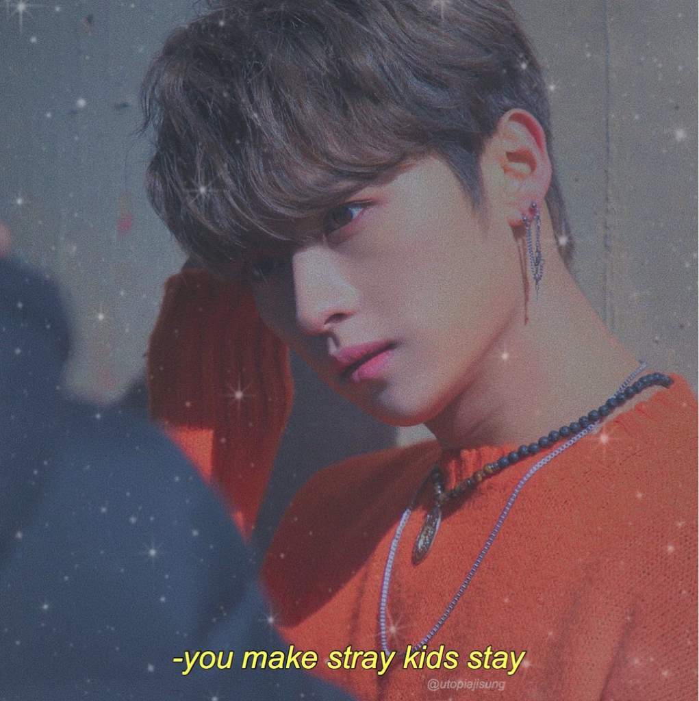 Stray Kids profiles | •Stray Kids• Amino
