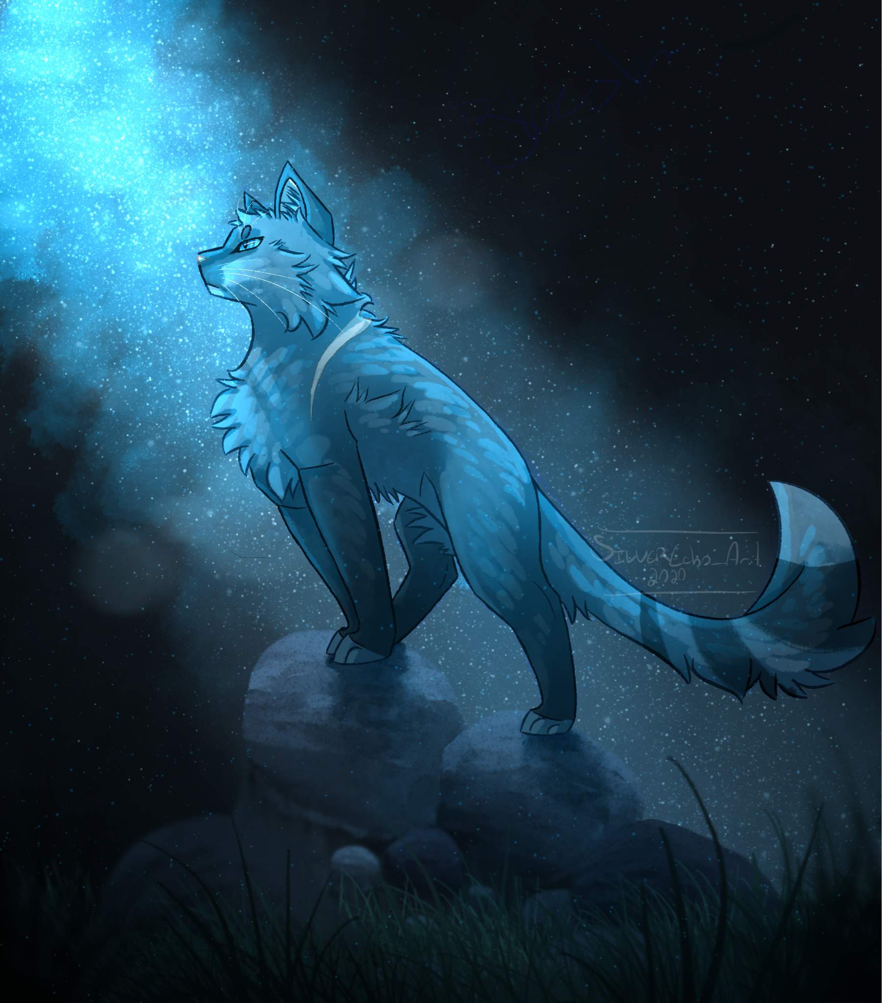 BlueStar | Warriors Amino Amino