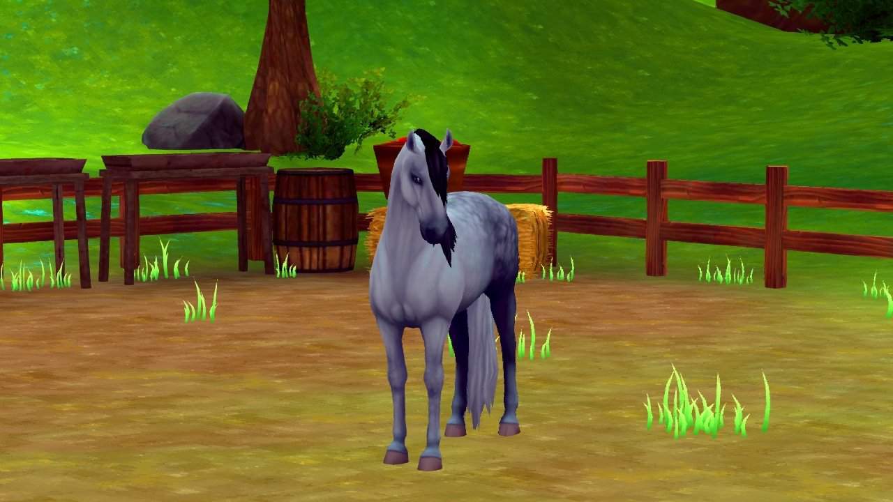 Lusitano | Wiki | Star Stable Online Amino