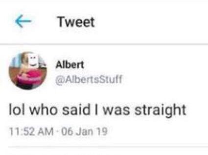 Albertsstuff Twitter Lol Who Said I Was Straight