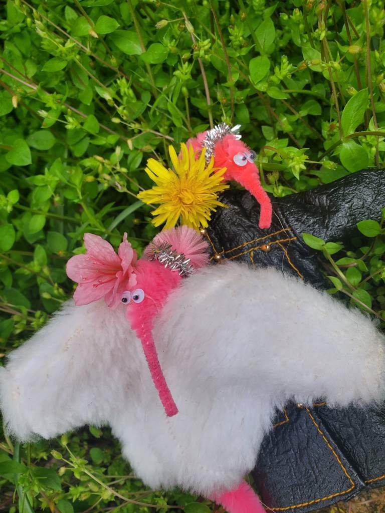 Margaret and Sally have some hot new jackets! | *+*+Worm on a string+ ...