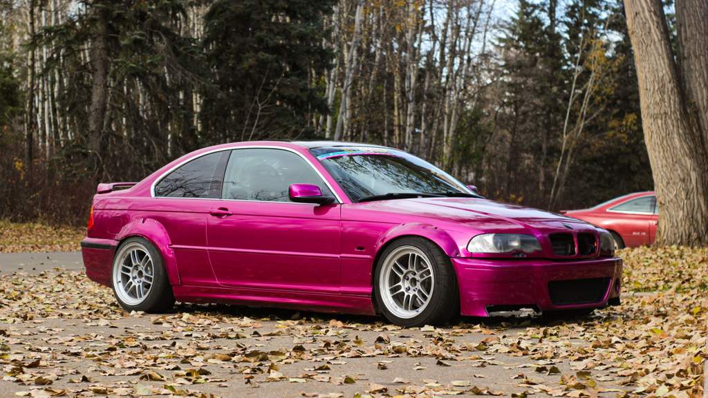 E46 Update. | Garage Amino