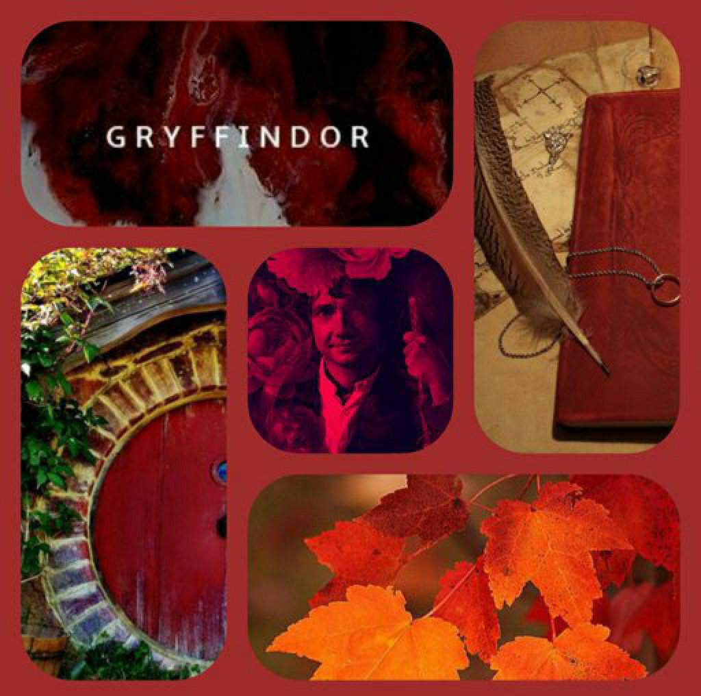 Bilbo - Gryffindor Aesthetic | FantasyRealm Amino