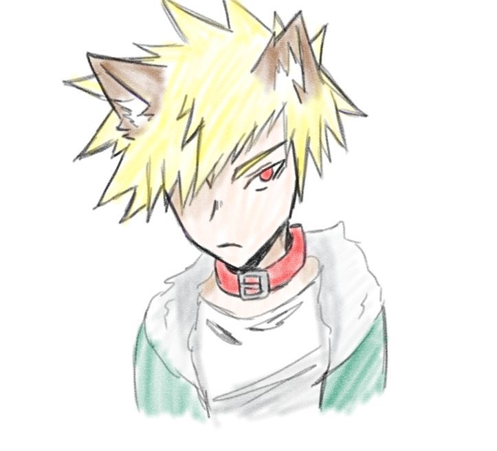 Katsuki wolf Bakugou | My Hero Academia Amino