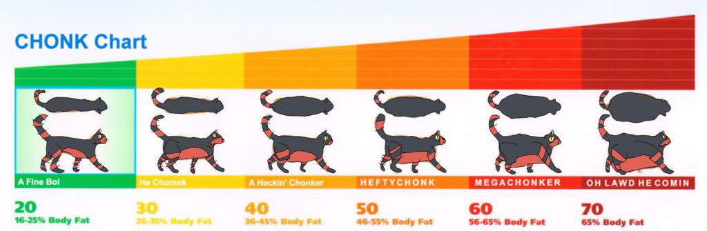 Litten chonk chart | Pokémon Amino