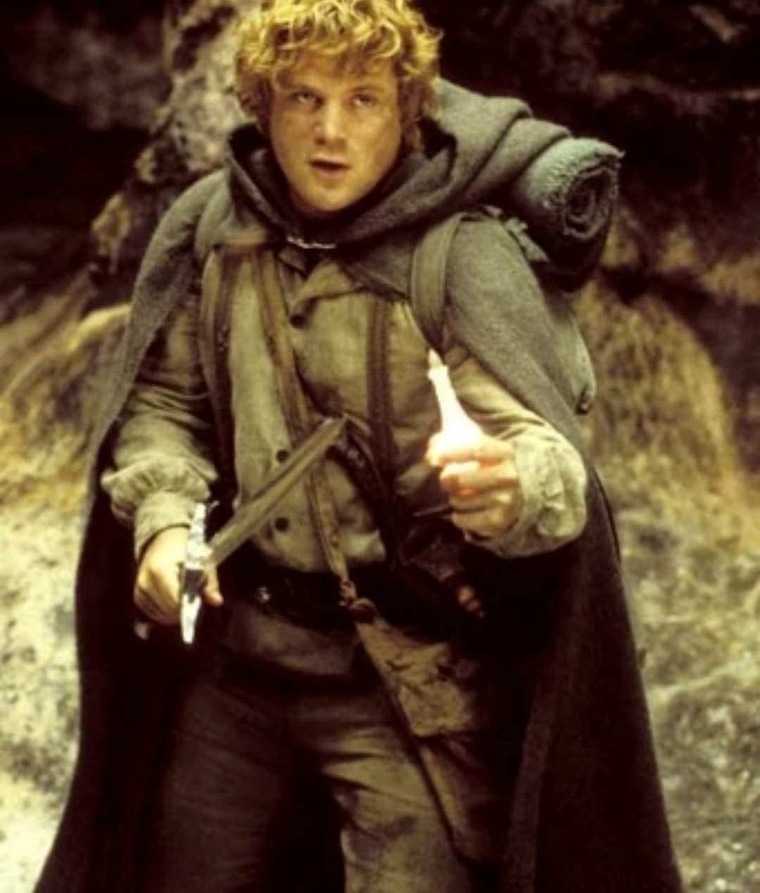 Samwise Gamgee | Wiki | LOTR Amino