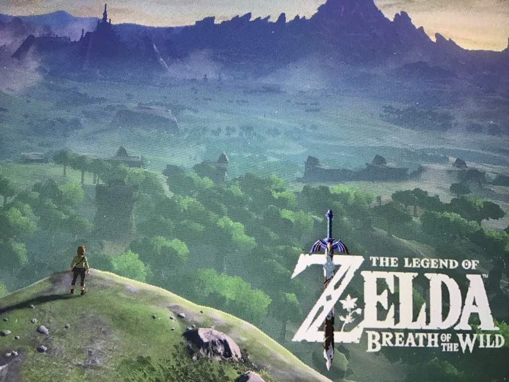 J’ai réussi à prendre ce très beau paysage(intro) | Zelda Breath Of The ...