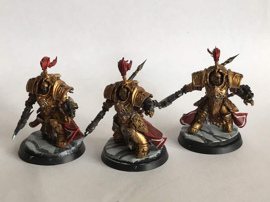 Allarus Custodians Painted! | Warhammer 40K Amino