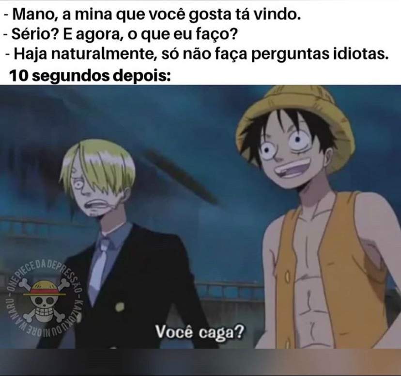 Shitpost | One Piece Brasil™ Amino