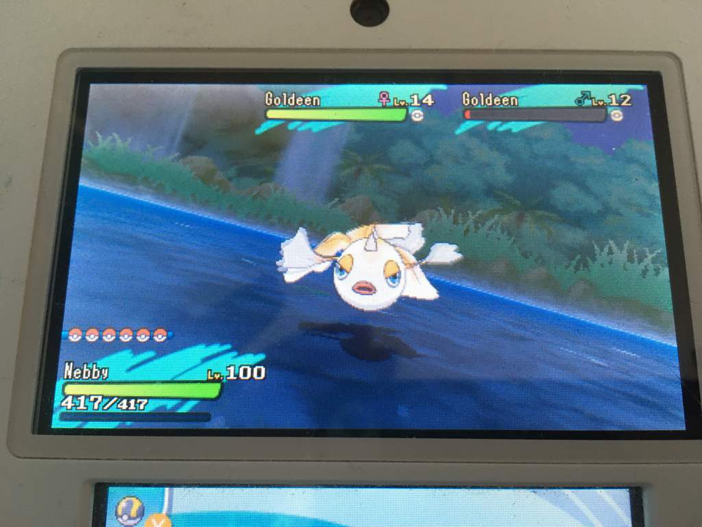 Shiny Seaking Pokemon Amino