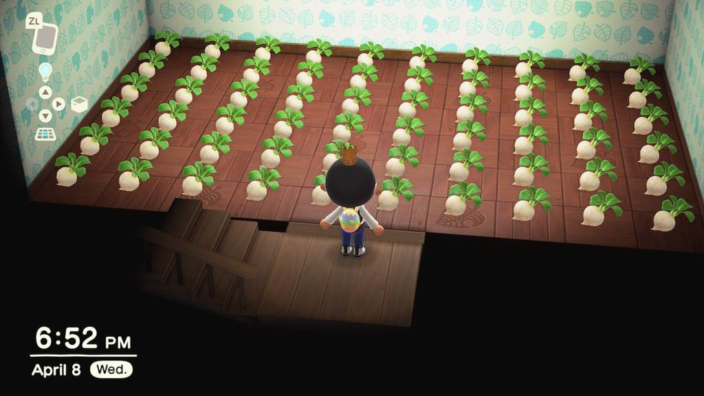 The Turnip Exchange 🔔🔔🔔🔔🔔 ACNH!!! Nintendo Switch! Amino