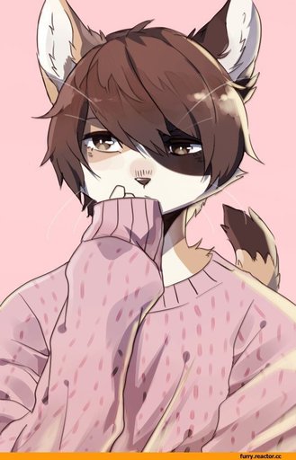 Фурри кот
