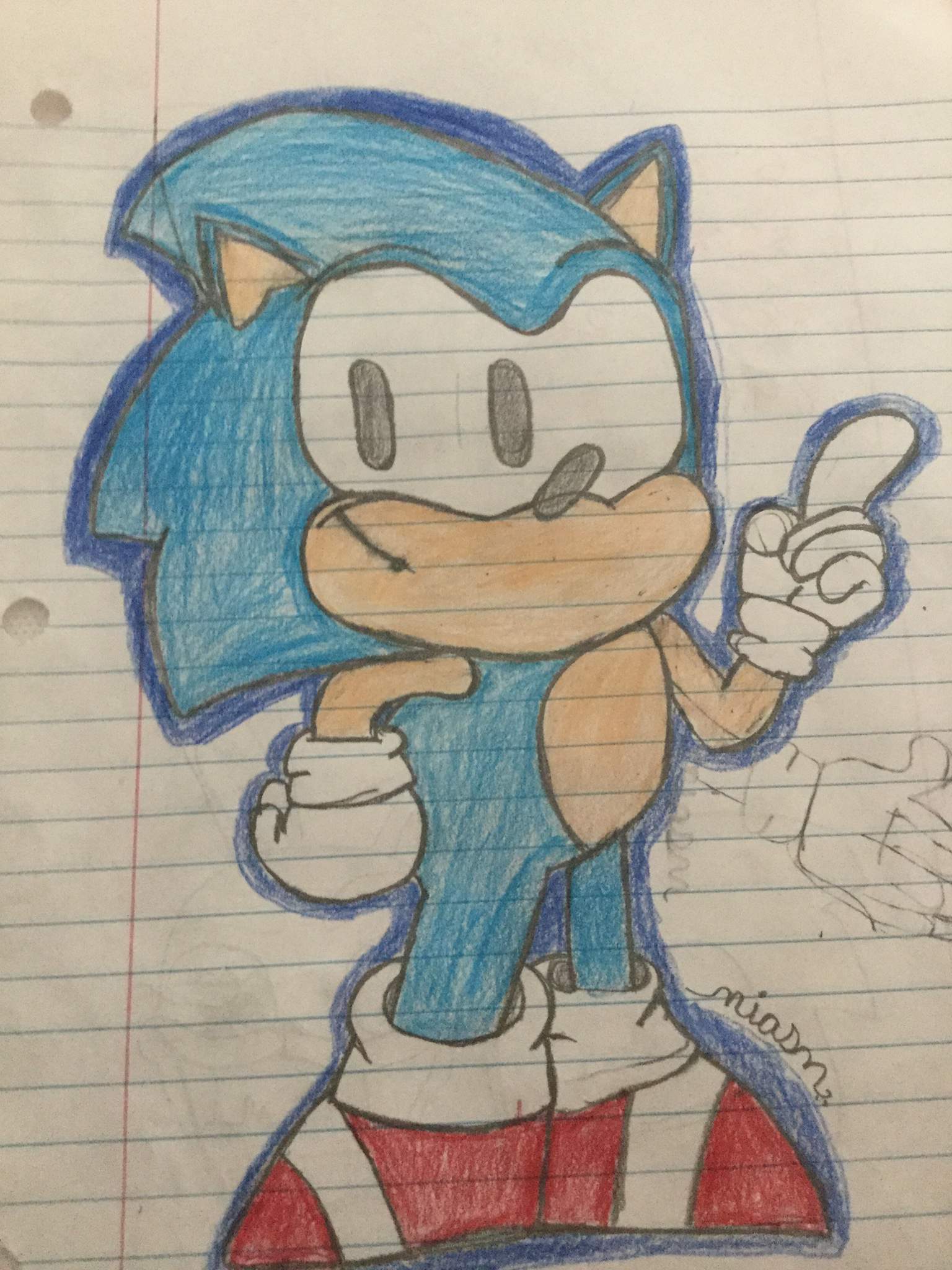 Snoc the hoorhay | Sonic the Hedgehog! Amino