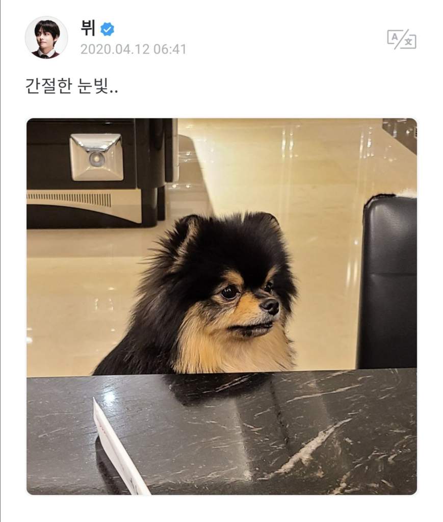 BTS WEVERSE UPDATES 200411-12 | BTS Amino