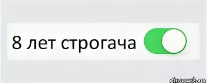 8 лет строгача мем