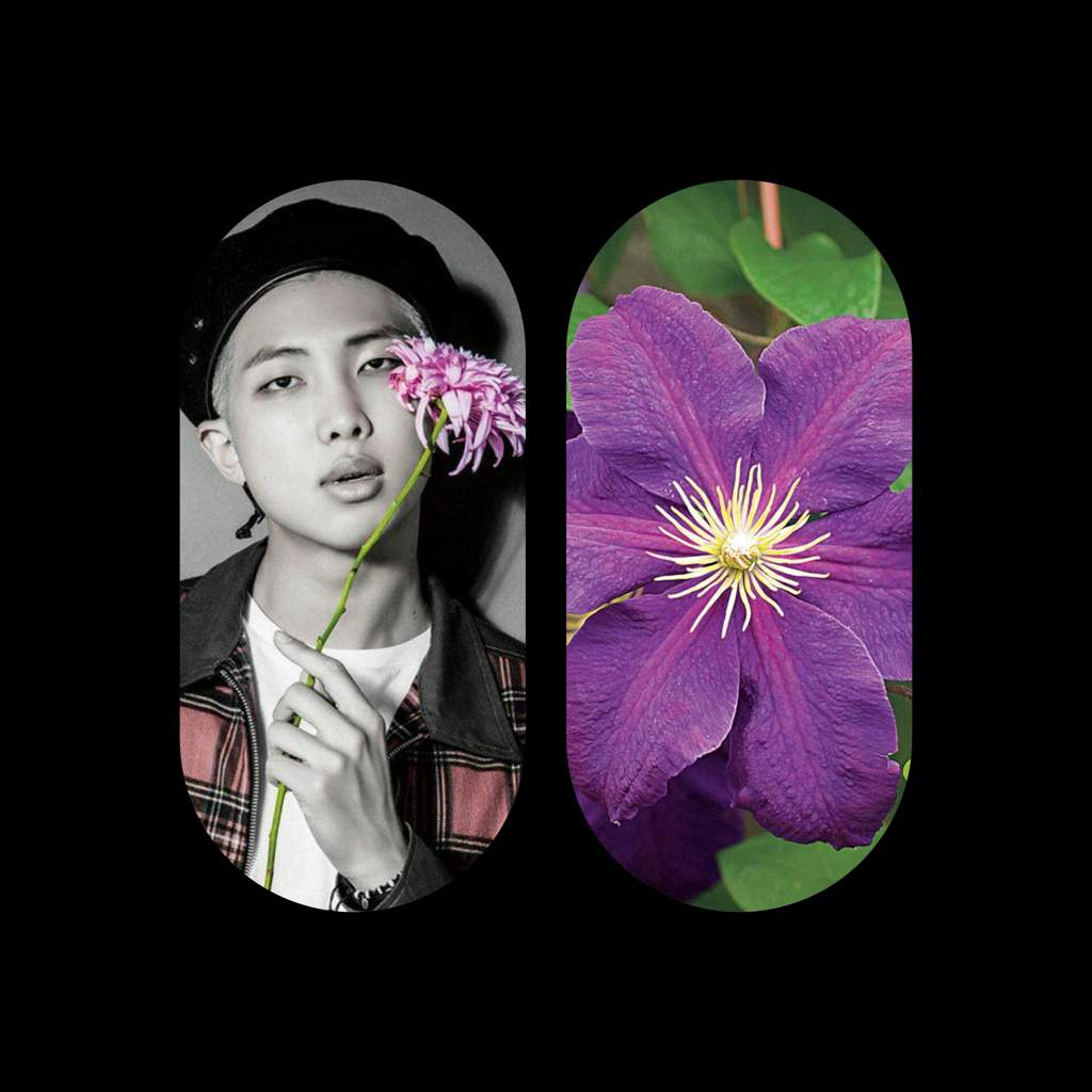 Bts Member S Birth Flowers And Their Symbolism Will Make You Soft Army S Amino
