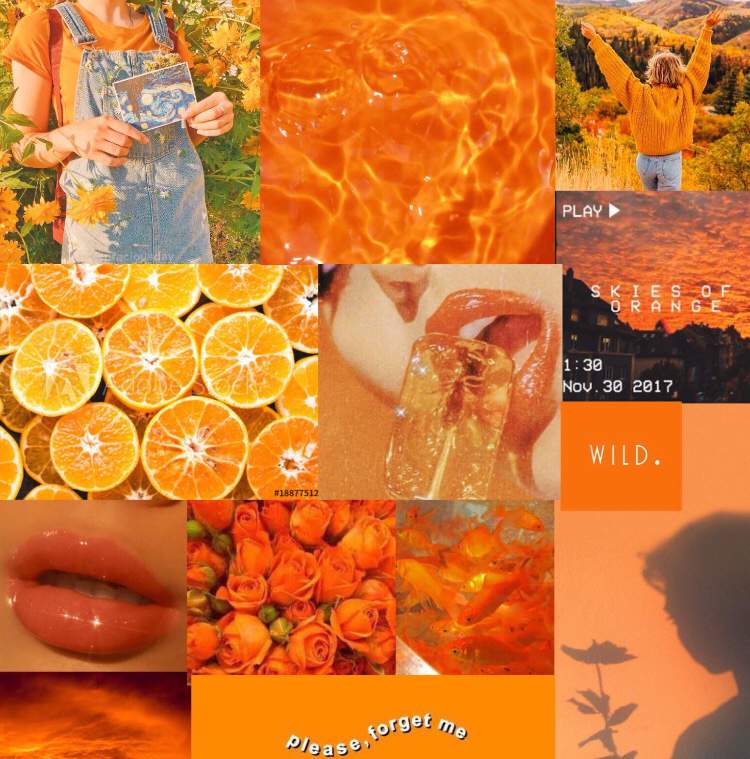 🍊🍁Orenge Aesthetics🍁🍊 | Wiki | aesthetics Amino