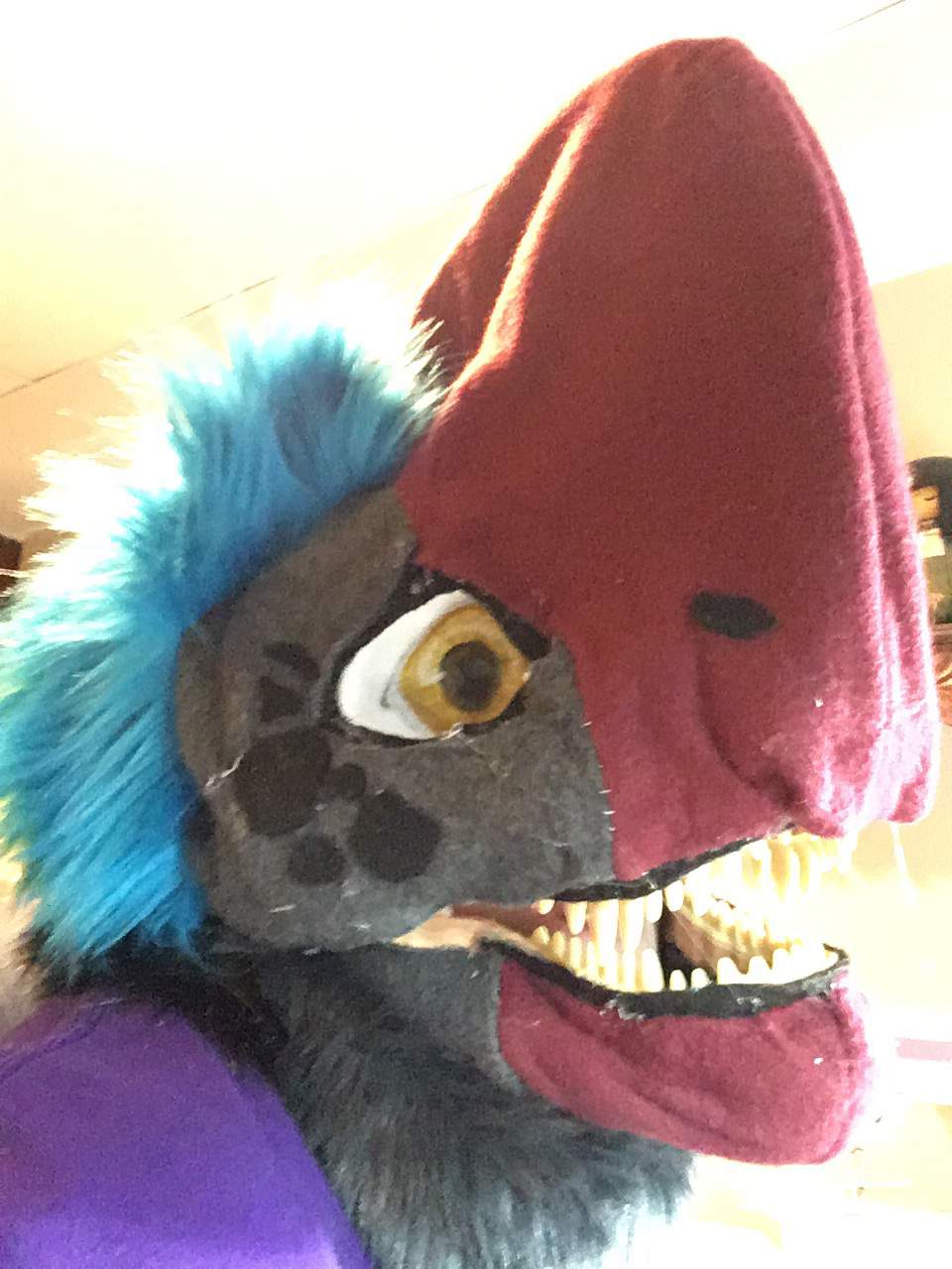 Oviraptor fursuit head | -Dino mask Amino- Amino