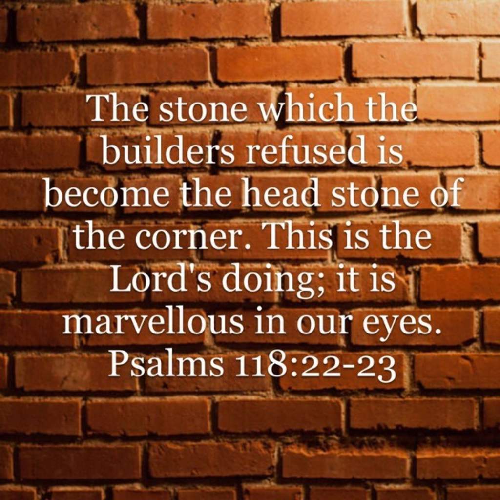 Daily Verse 4 17 20 Psalm 118 22 23 Christian Genesis Amino