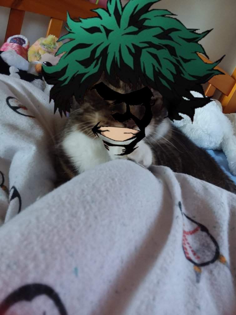 My Cat Academia | ★my hero academia★ Amino