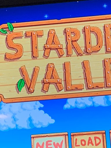 Stardewvalley Stardew Valley Amino