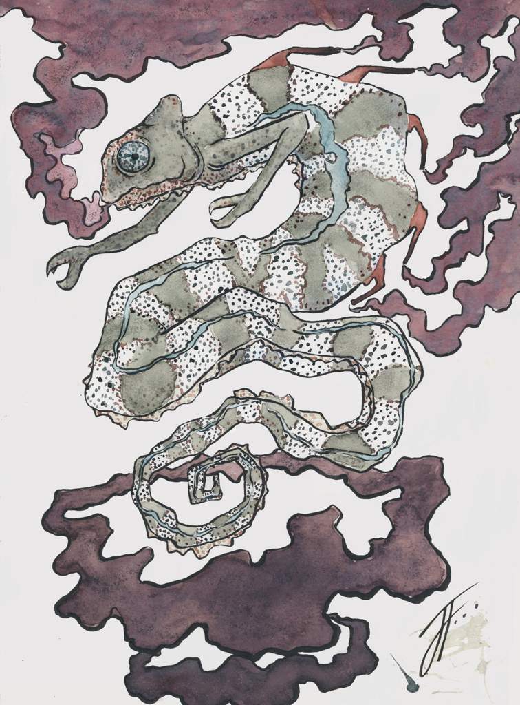 Dragon And Chameleon Chapter 1 Chameleon Dragon Design | Art Amino