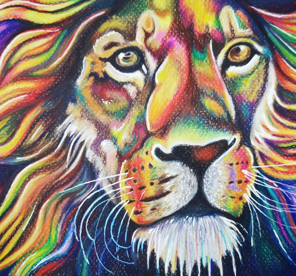 Rainbow Lion 🌈🦁 | Art Amino