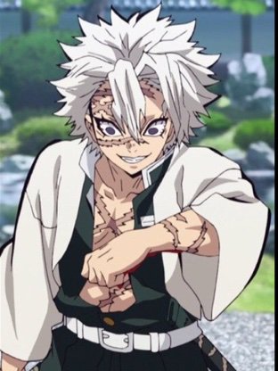 Sanemi Shinazugawa | Wiki | Demon Slayer: Kimetsu No Yaiba Amino