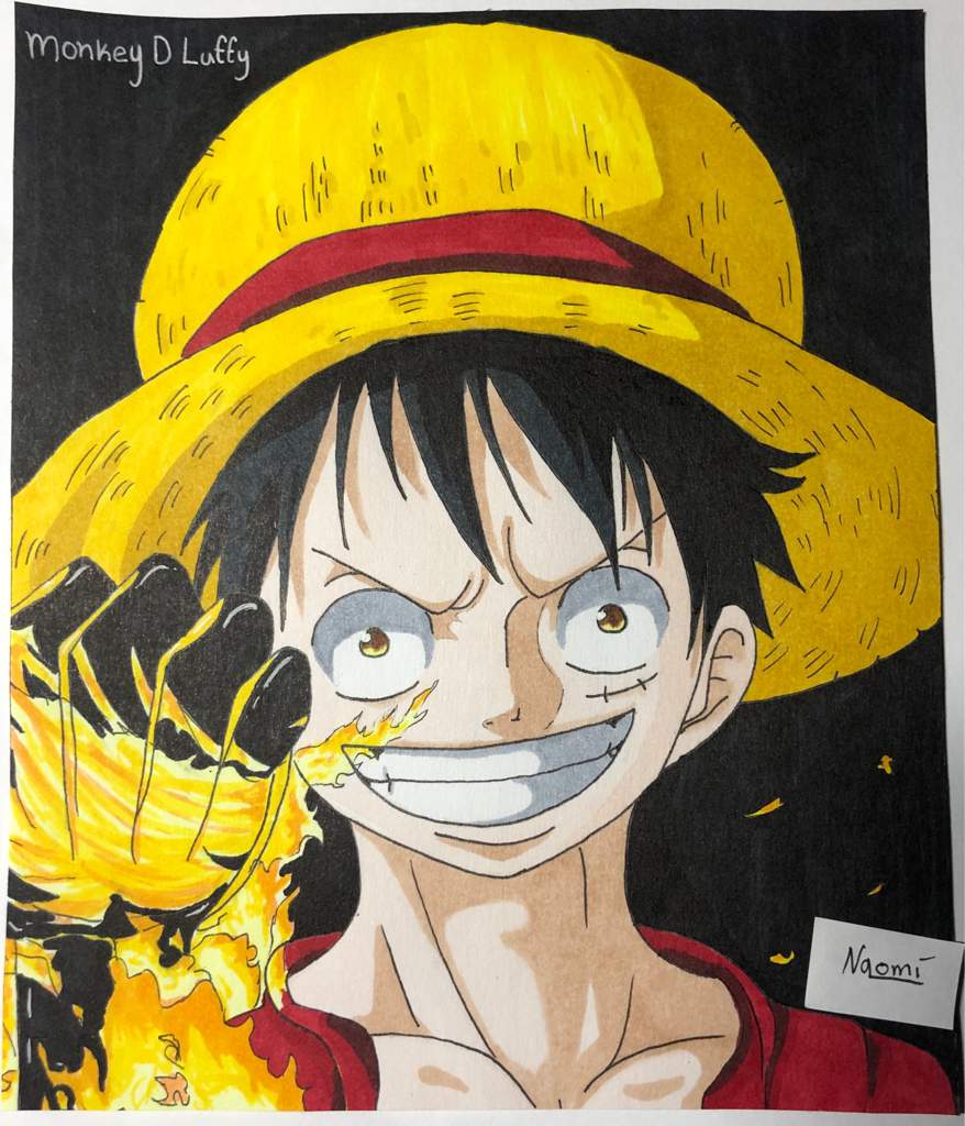 Birthday Gift 4/20 !☆Monkey D Luffy!! | One Piece Amino