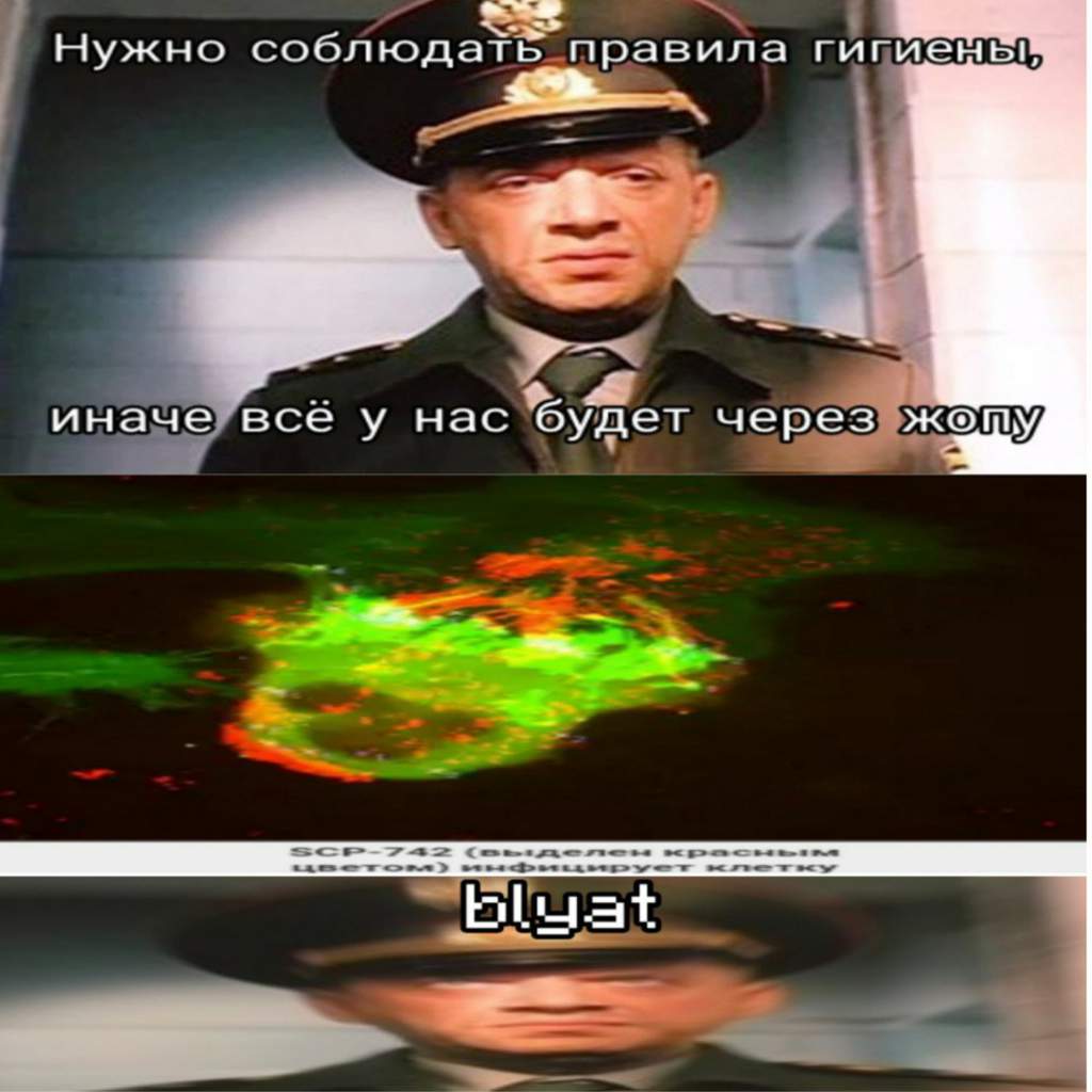 Аномальные мемы хрен знает какой выпуск! | SCP Foundation [RUS] Amino