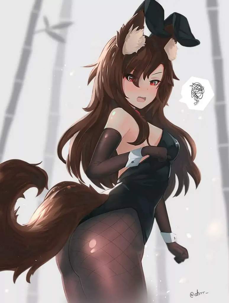 Imaizumi Kagerou Bunny