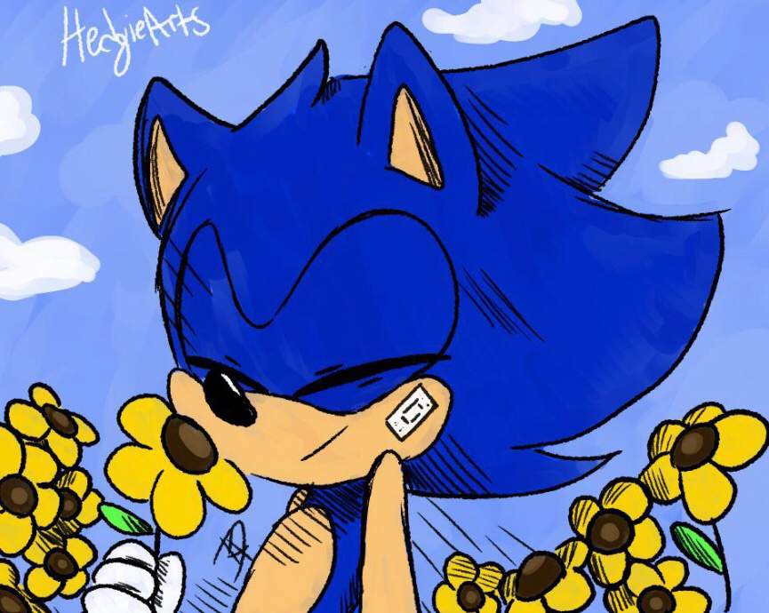 🌻Baby and Sunflowers🌻 | Sonic the Hedgehog! Amino