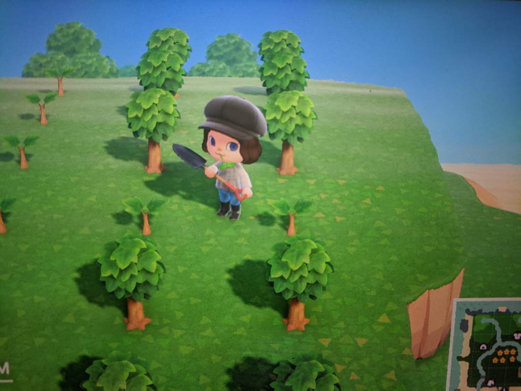 Not growing? Animal Crossing Amino