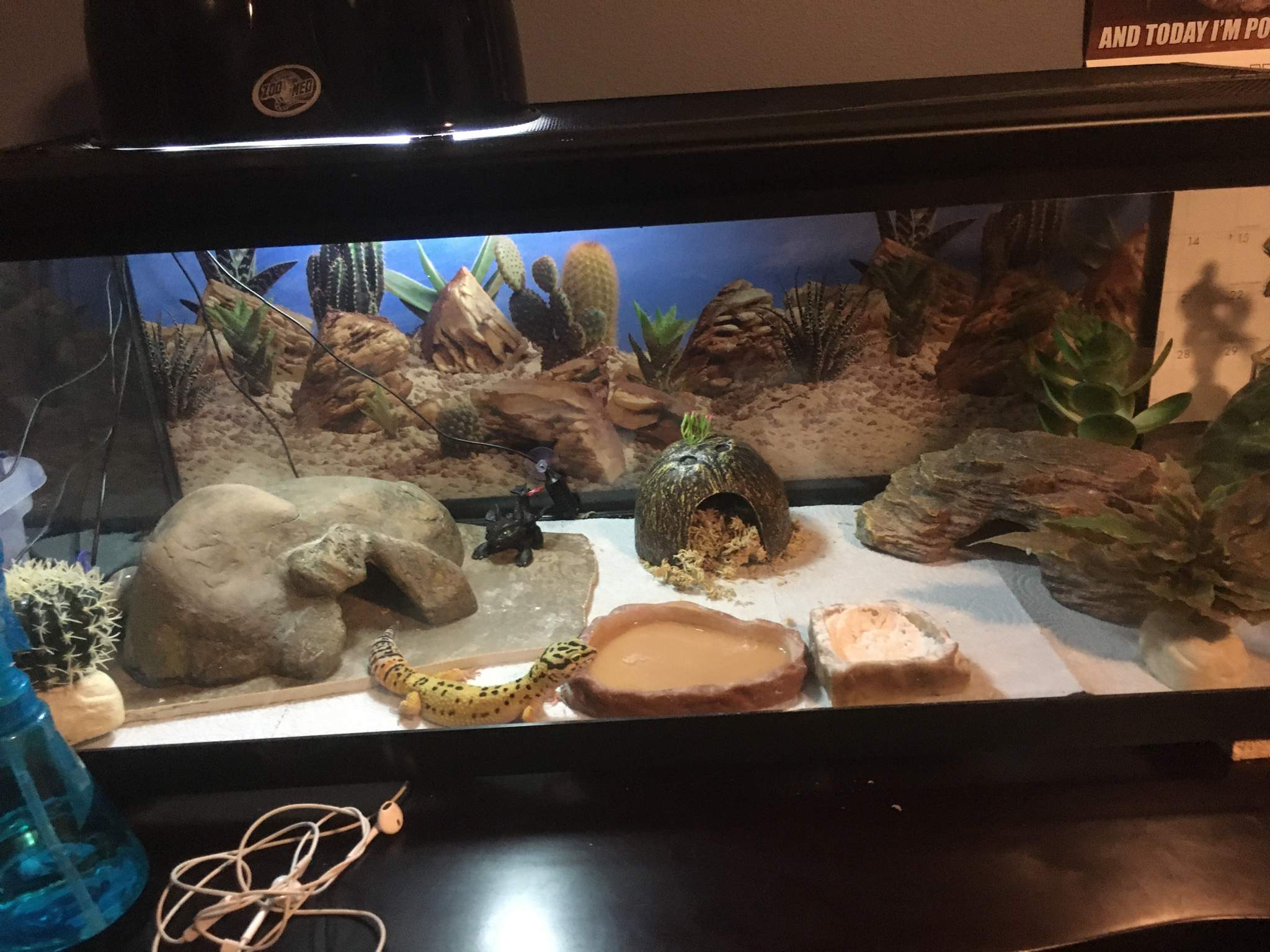 Heat mat not working????? | Reptiles Amino