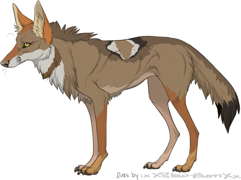 Tibah (WIP) | Wiki | Wolf Amino Amino