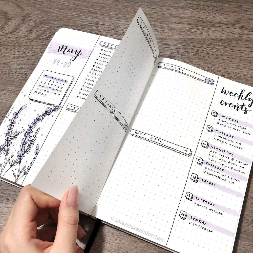 Weekly vs Daily Spreads | Bullet Journal Amino