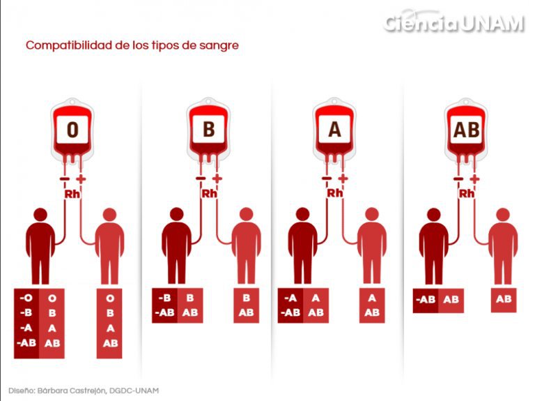 ¿POR QUÉ TENEMOS DISTINTOS TIPOS DE SANGRE? | •Ciencia• Amino