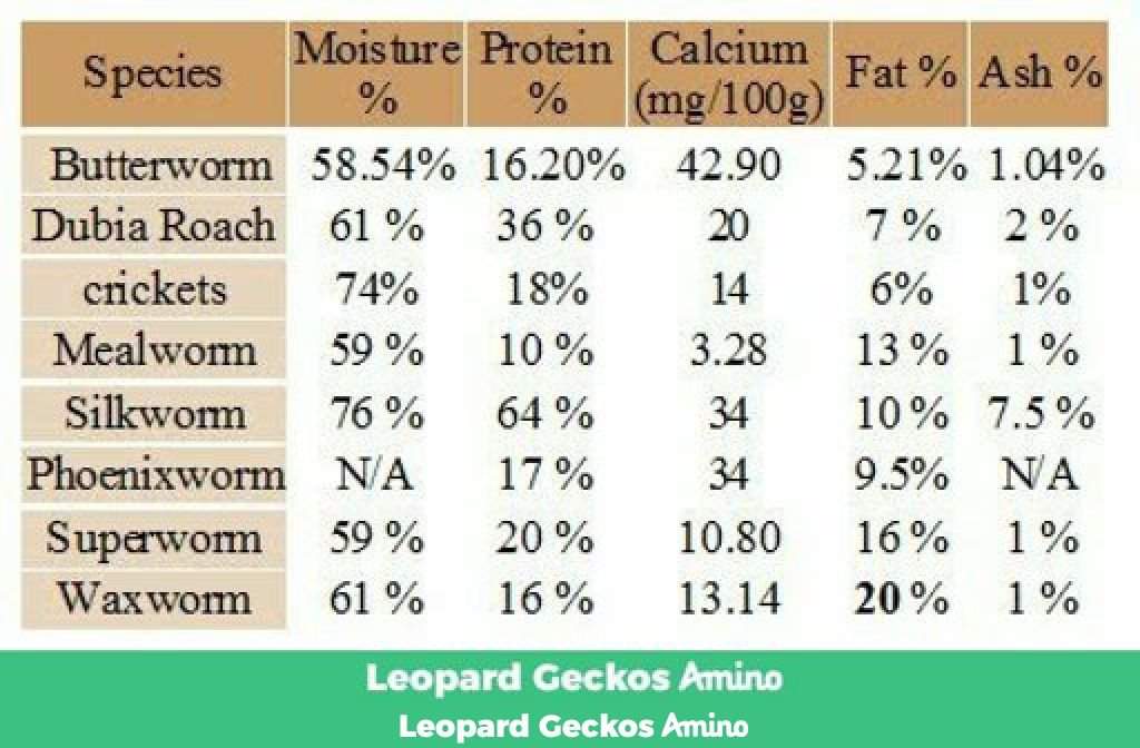 Leopard Gecko Weight Chart