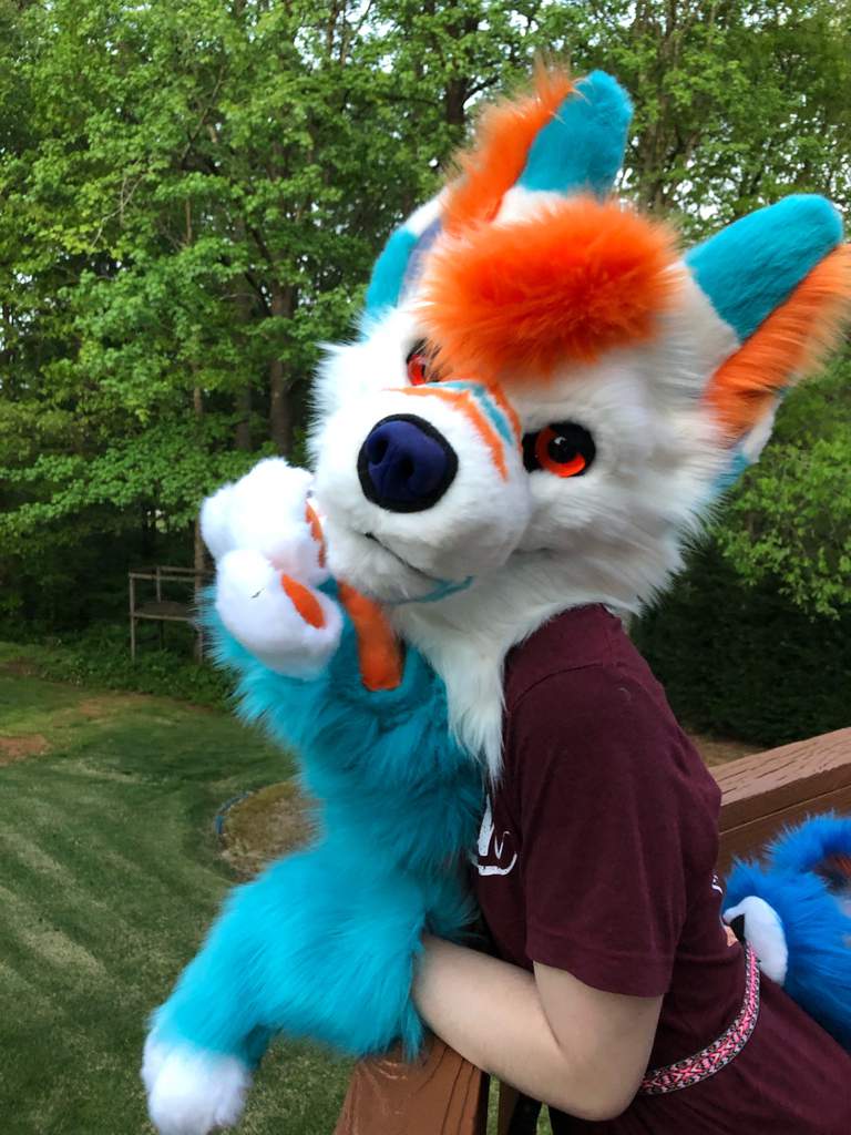 🧡💙🐺Awooo🐺💙🧡 | Furry Amino