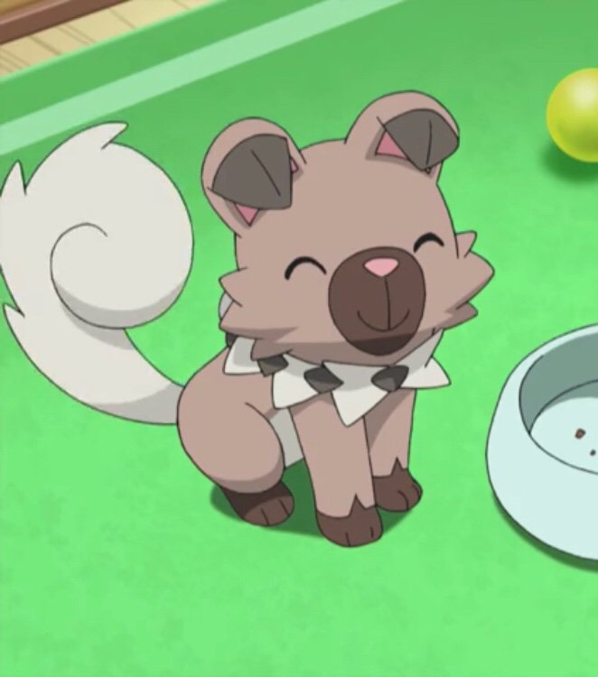 rockruff pokemon teddy