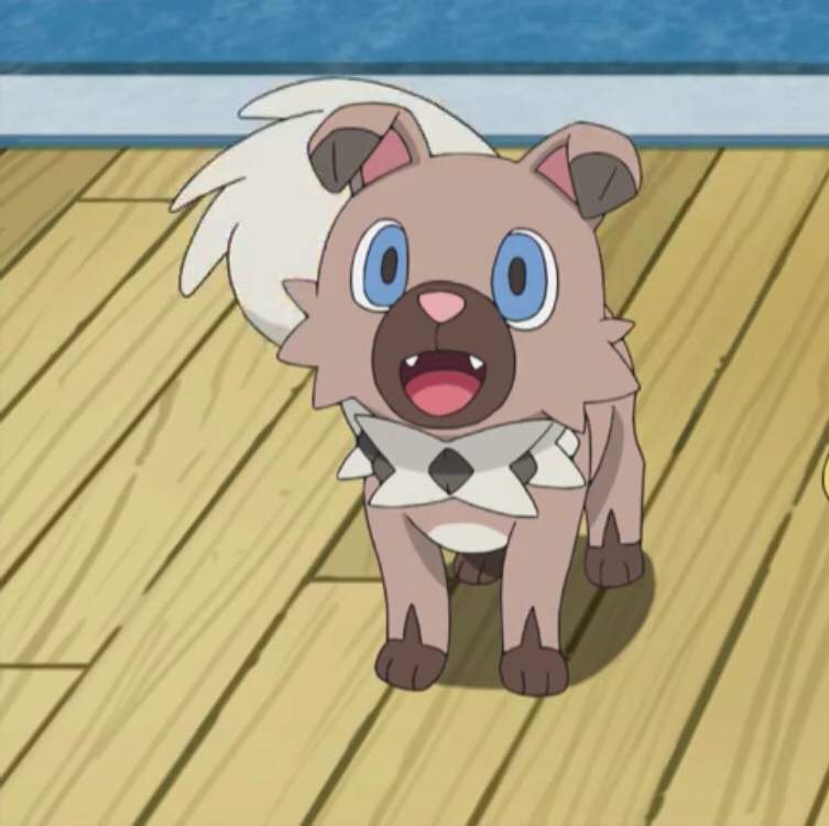 rockruff pokemon teddy