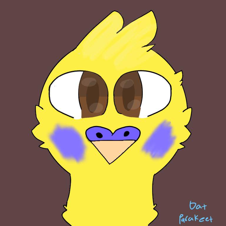 New pfp! | Budgie/Parakeet Amino Amino