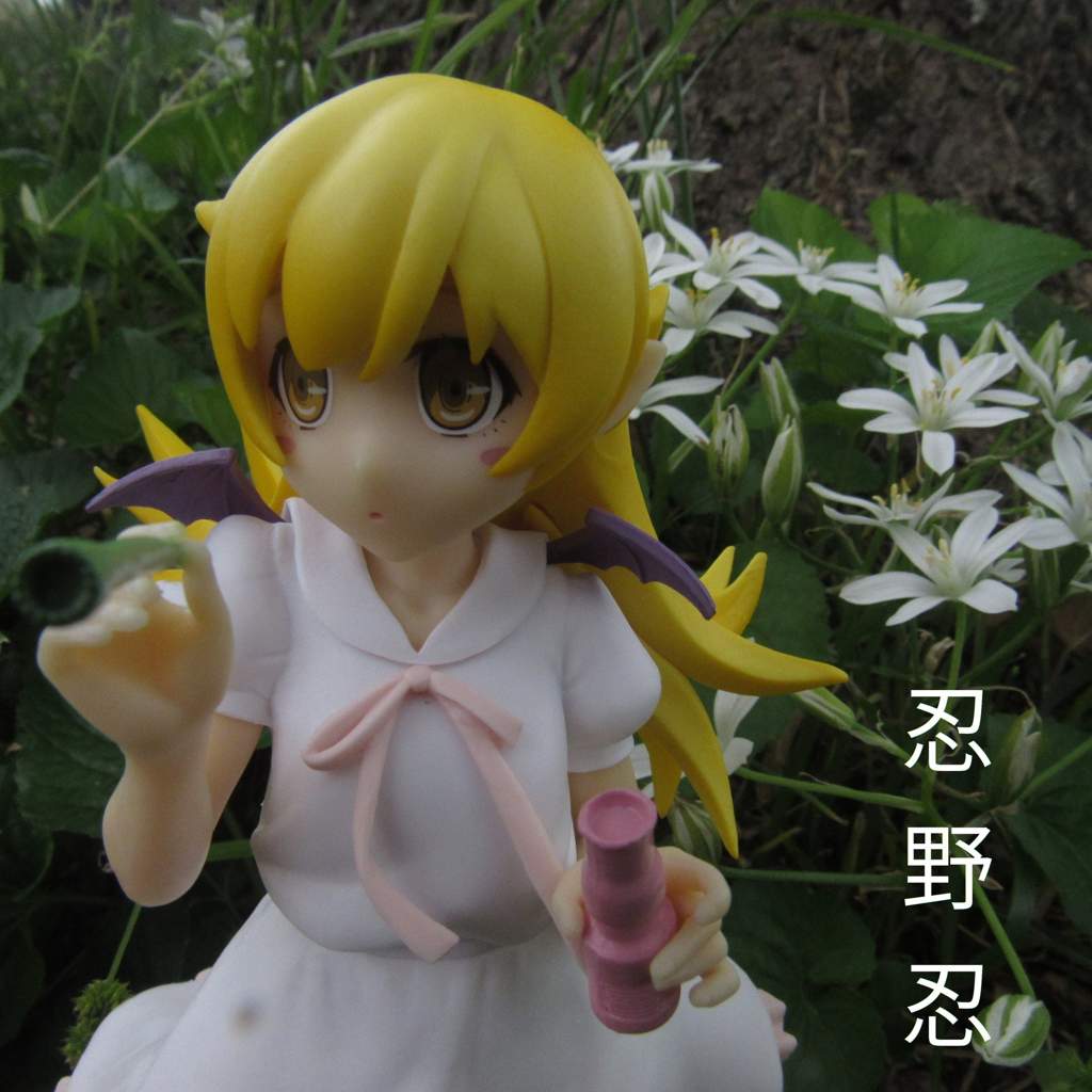 shinobu figur