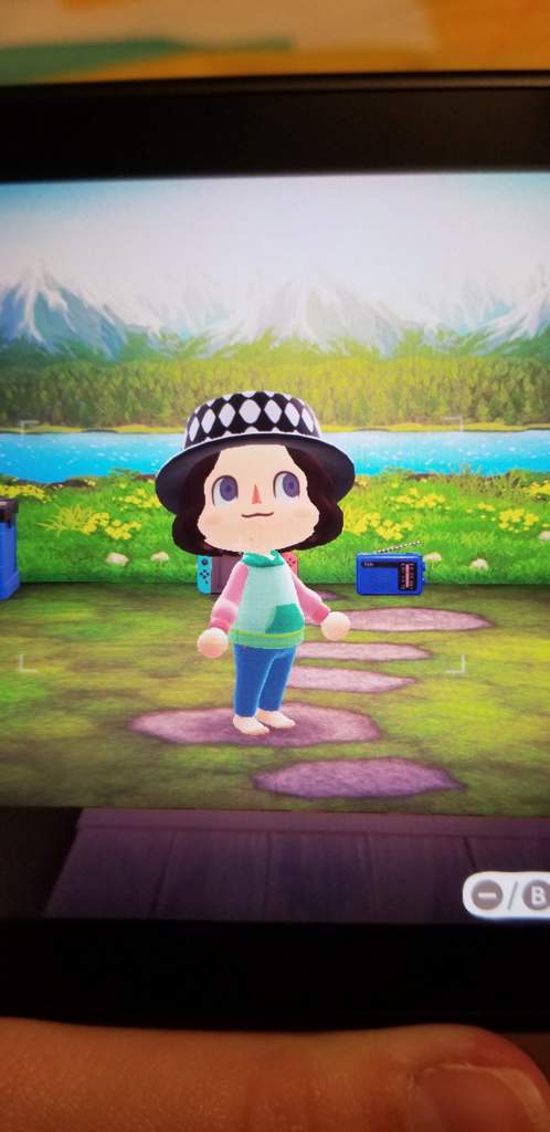 Animal Crossing Zeppeli Hat Jojo Amino Amino