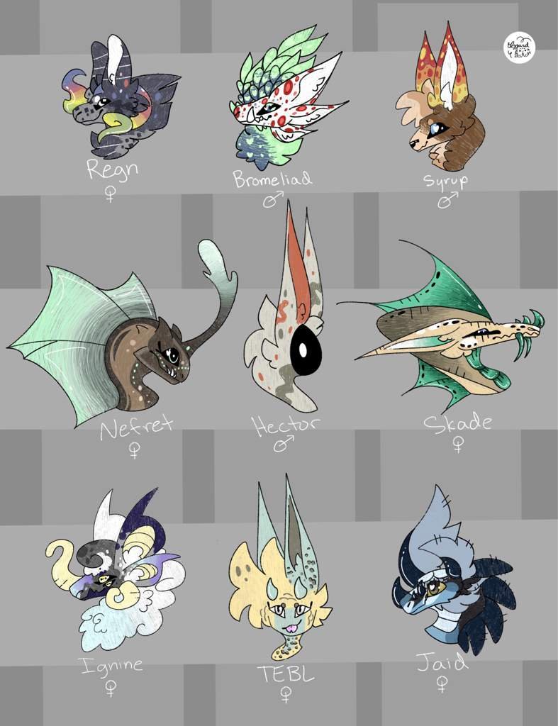 All My Ocs Dragons Amino All My Ocs Dragons Amino