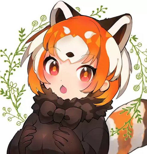 ???????????????????????????????????? ???????????????????????????????????? | ???? Kemono Friends ???? Amino ???????????????????????????????????? ???????????????????????????????????? | ???? Kemono Friends ???? Amino