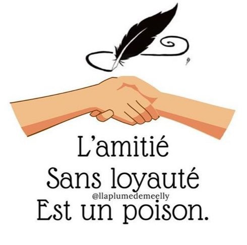 Le Loup De La Mort Citations Amino