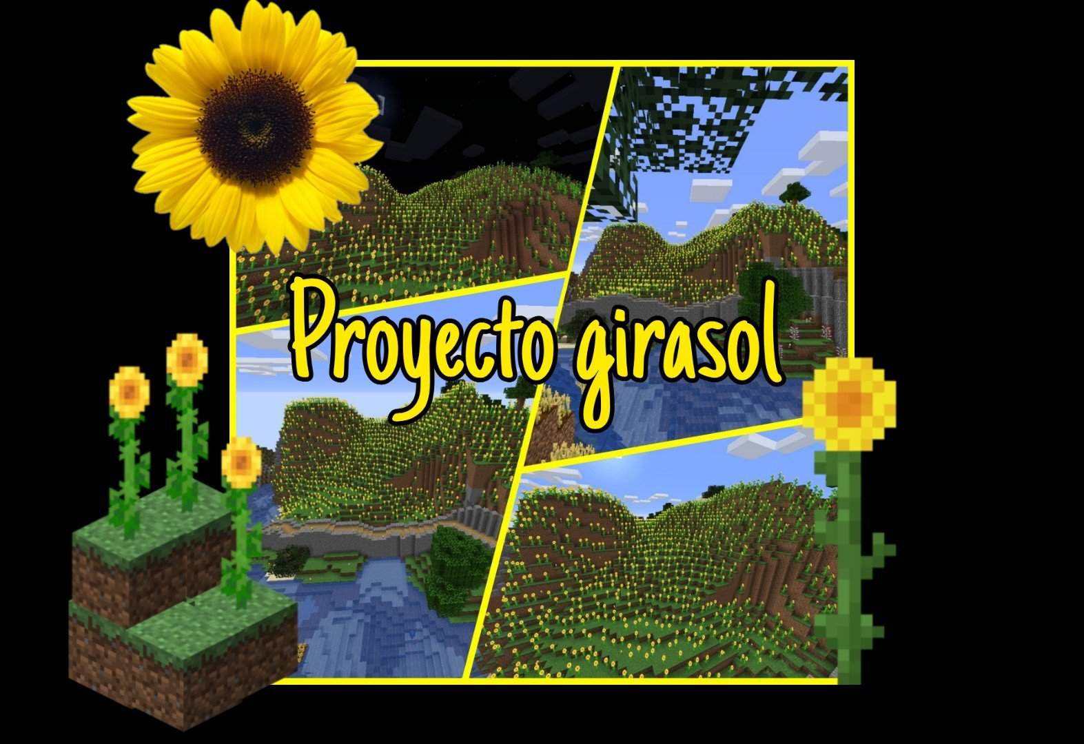 Proyecto girasol | Minecraft Amino • Crafters Amino